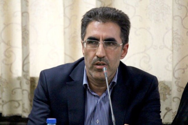 دولت و مجلس بسیار مصمم برای حمایت از خودروسازان در ماه های پایانی سال