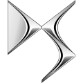 دی اس