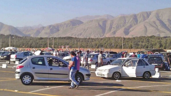 264.jpg