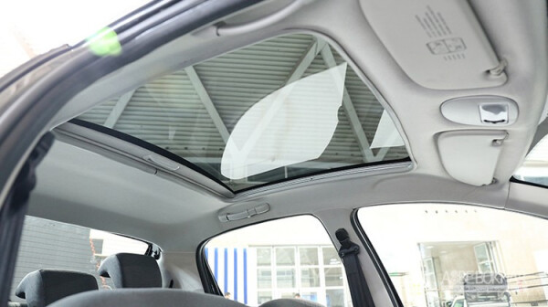 peugeot-207i-glassroof11.jpg