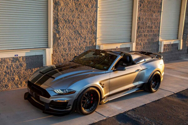 Shelby-Super-Snake-4.jpg