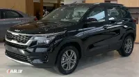 کیا سلتوس