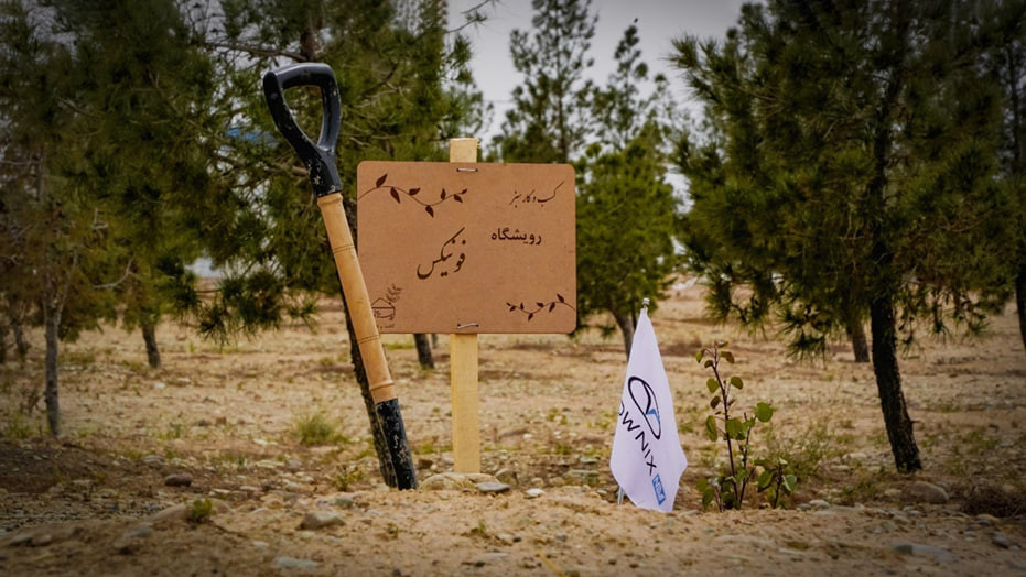 رویشگاه فونیکس با مشارکت مردم احداث شد